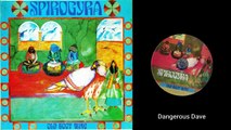 Spirogyra — Old Boot Wine 1972 (UK, Progressive/Folk Rock)