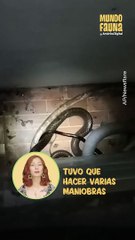 Toda una persecución: rescatistas atrapan a enorme serpiente que invadió una vivienda en Tailandia
