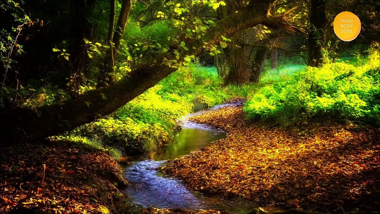 Raise Your Self-Confidence | Strength & Confidence Sound Bath | Unleash Inner Power | Healing Sounds