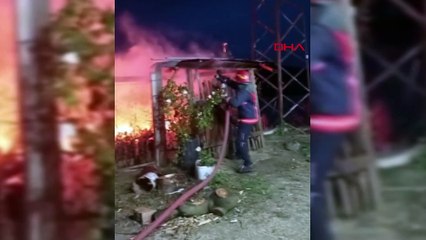 Bursa'da bağ evi yangında küle döndü