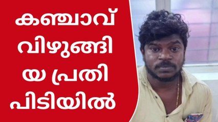 കോട്ടയം : രക്ഷപെടാൻ കഞ്ചാവ് വിഴുങ്ങി പ്രതി