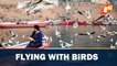 Tourists bask with flock of birds at Varanasi ghat