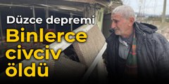 Depremde binlerce civciv öldü