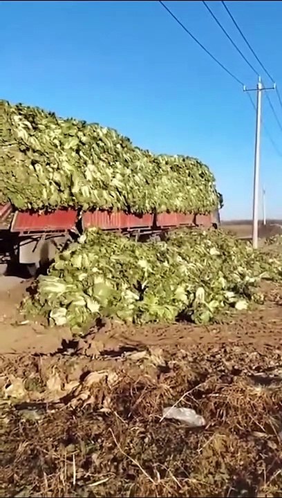 Lavori pericolosi e spaventosi errori sul in un video gli incidenti che hanno sfiorato la tragedia - video