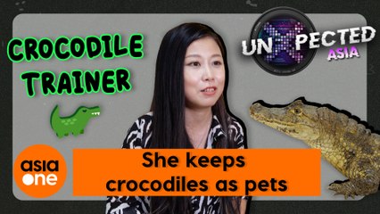 UnXpected Asia: Wounds and bites don't scare this crocodile whisperer