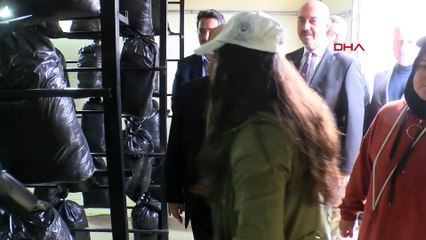 Samsun'da 1 ayda 71 kişi mantardan zehirlendi