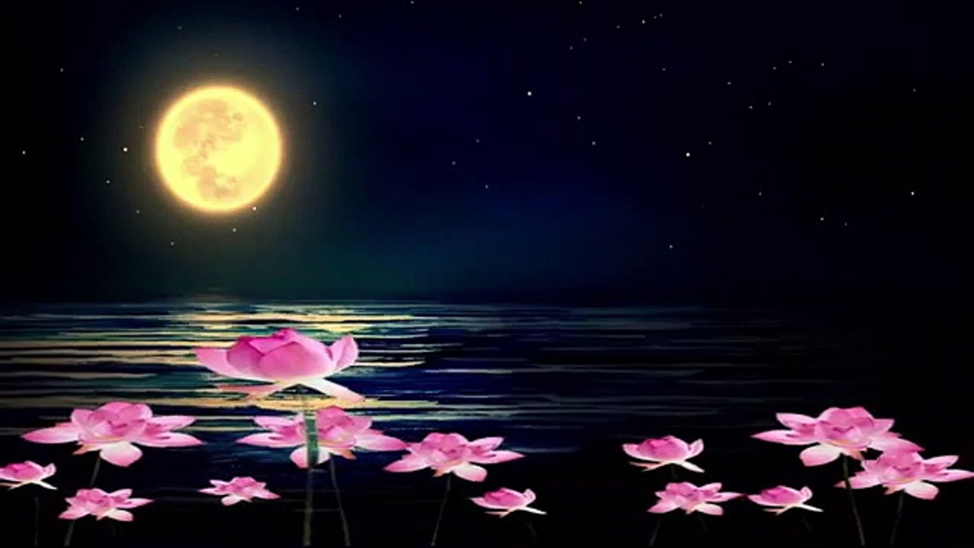 ⃝  Relaxing Music , Yoga, Calm Music, Spa ,Study Music Sleep Music Meditation