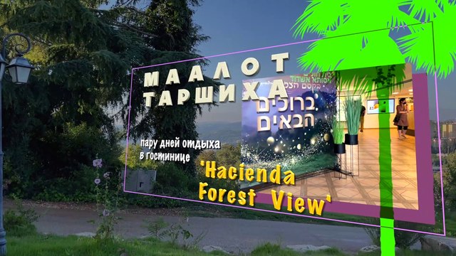 Маалот-Таршиха. Пару дней отдыха в отеле 'Hacienda Forest View'