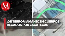 Riegan cuerpos desmembrados en Zacatecas