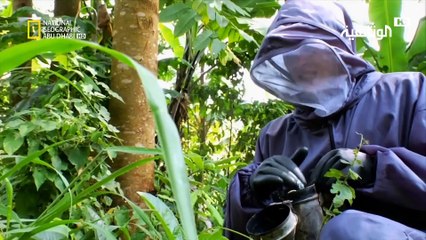 تقريب المسافات | أوغندا