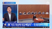 “수사권 없는데 대검 국조?”…‘이태원 특위’ 한때 실랑이