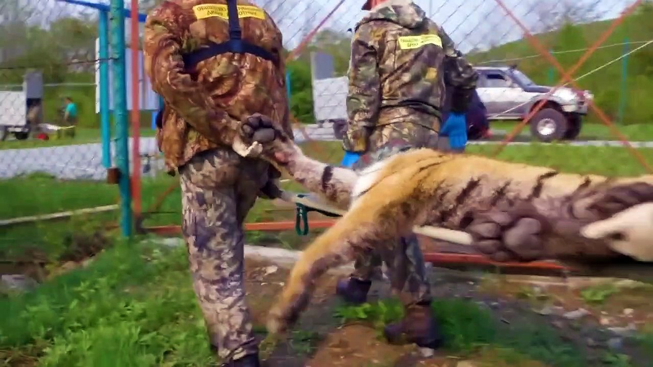 Animals Being FREED For The First Time!