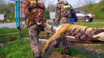 Animals Being FREED For The First Time!