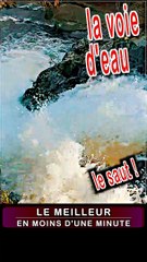 4 - Le GOULOUX DU CAILLOT en gros plan et en furie dans le MORVAN BOURGOGNE