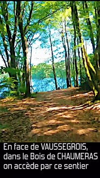3 - BOIS DE CHAUMERAS LAC DE CHAUMEÇON dans le MORVAN BOURGOGNE