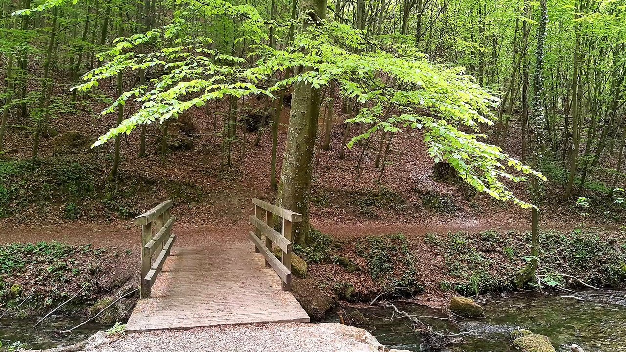 Bridge