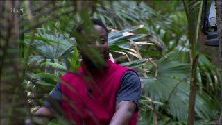 I'm a Celebrity, Get Me Out of Here!  S22E18