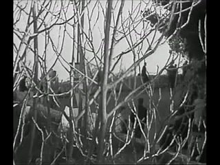PARIS/NICE    -  1972  -