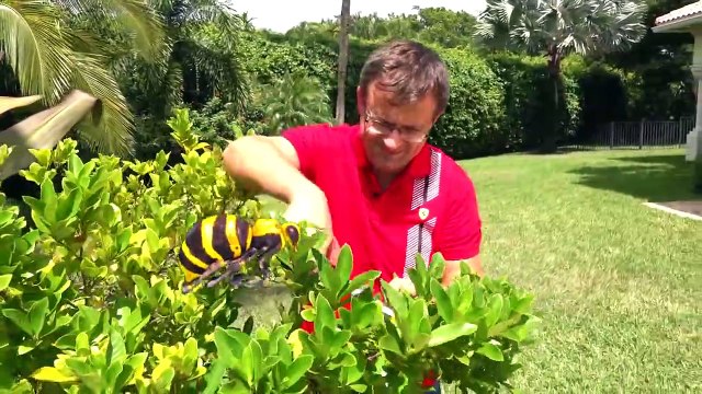 Diana play with Dad - Fun storybook for kids