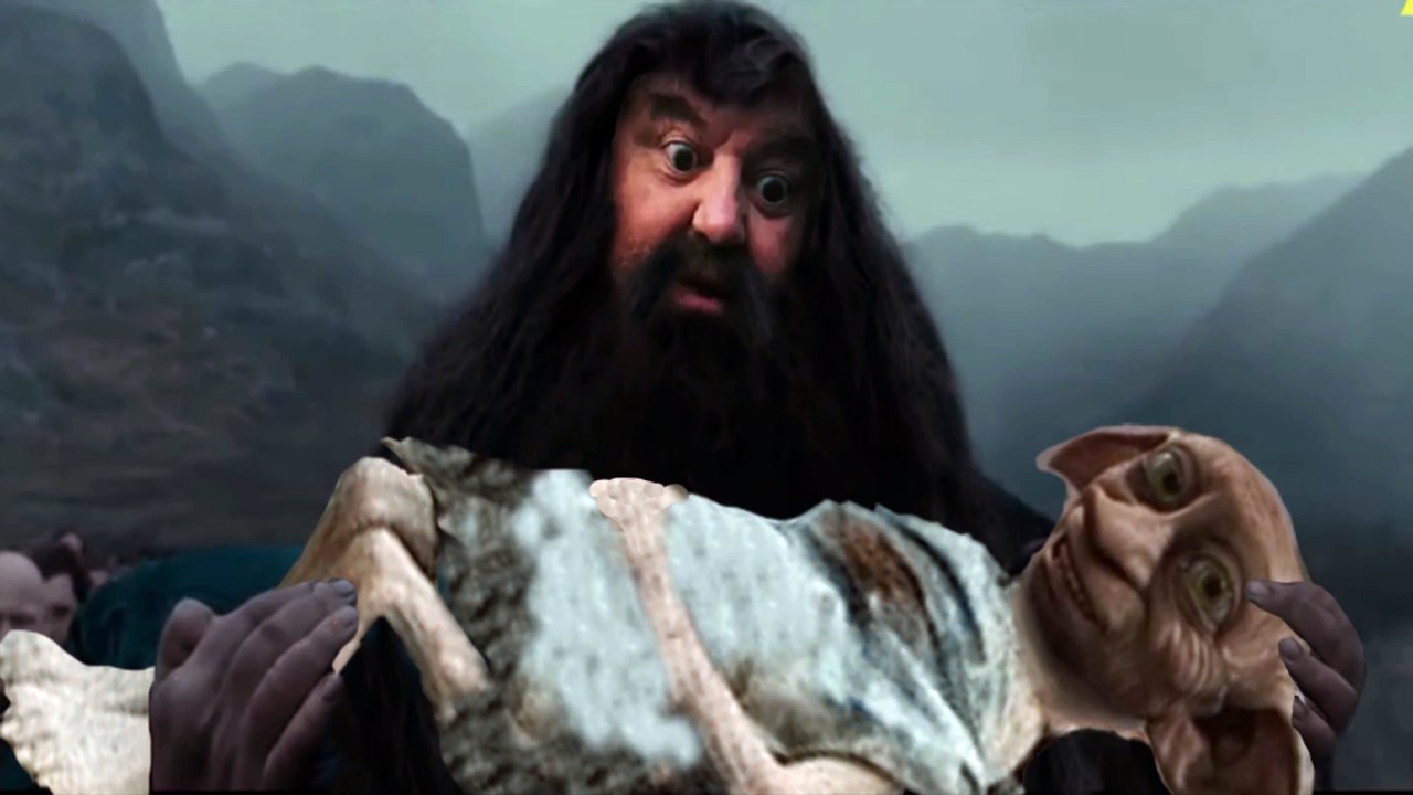 Professional Narrator Tries to Read Dobby x Hagrid Fanfiction ...