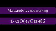 Malwarebytes not working Fix Malwarebytes 151O-37O-1986