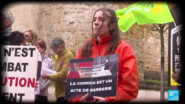 Débat sur la corrida à l'Assemblée nationale : la tauromachie continue de diviser