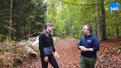 2/5 Sophrologie et thérapie forestière avec Manuela Peschmann