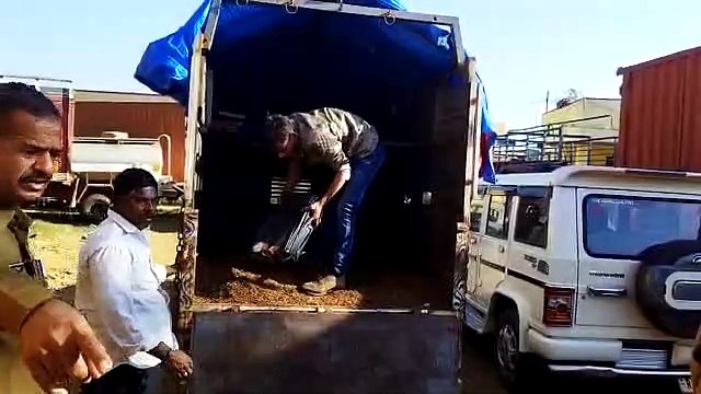 सोप स्टोन से भरा ट्रेलर व बकरियों से भरी पिकअप से शराब जब्त