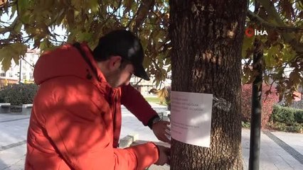 Sivas'ta 20 gündür iş arayan genç, ilginç bir yönteme imza attı