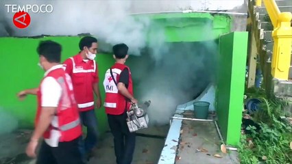 Cegah DBD di Pondok Pesantren, PMI Jember Lakukan Pengasapan