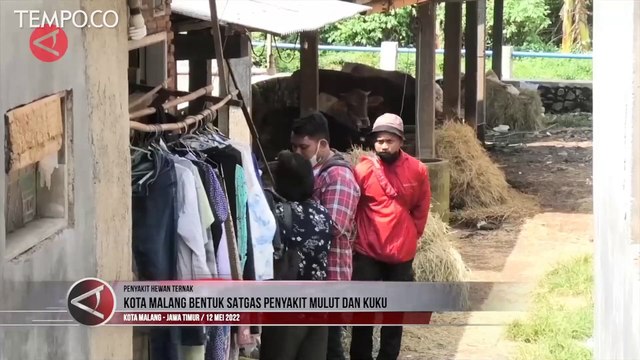 Pemkot Malang Bentuk Satgas Penyakit Mulut dan Kuku