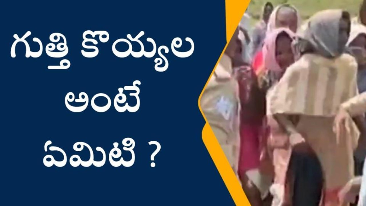మధిర: గుత్తి కోయలు అంటే అసలు ఎవరు?