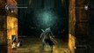 Demon's Souls online multiplayer - ps3