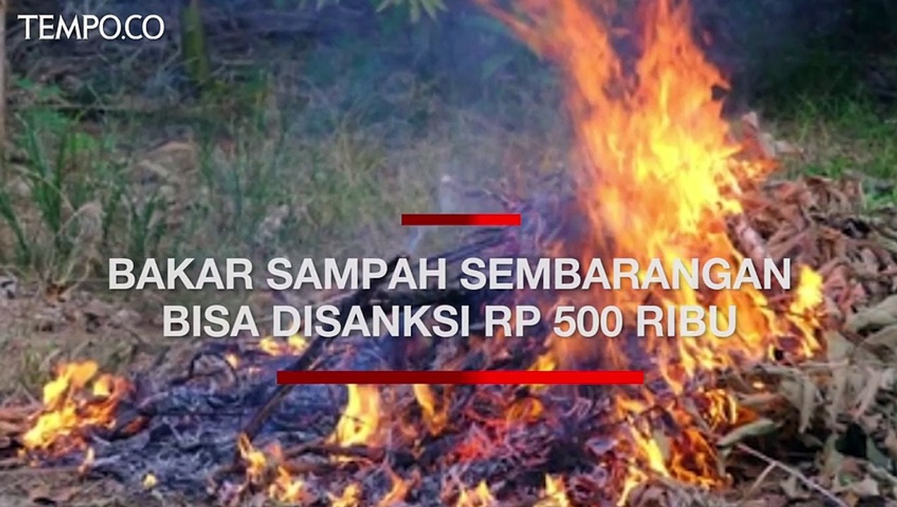 Warga Bakar Sampah Sembarangan, Pemprov DKI: Bisa Disanksi Rp 500 Ribu