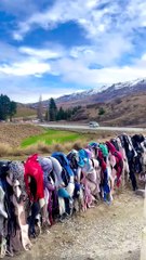 Discover the Amazing Wonder of the World with BH as a Unique Fence 🌍