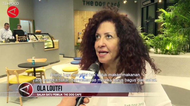 Bermain Bersama Sobat Berbulu di Kafe Anjing di Kairo