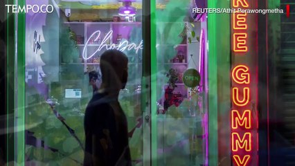 Ganja Legal, Warga Thailand Tetap Tak Bisa Teler Sembarangan