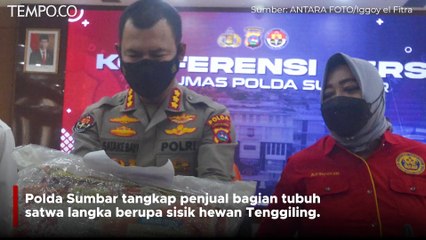 Seorang Warga Padang Ditangkap karena Jual Beli Sisik Tenggiling