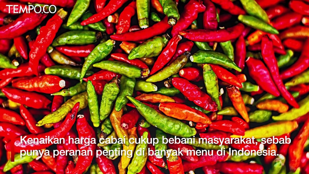 Harga Cabai 'Ekstra Pedas', Beberapa Bahan ini Bisa Jadi Pengganti