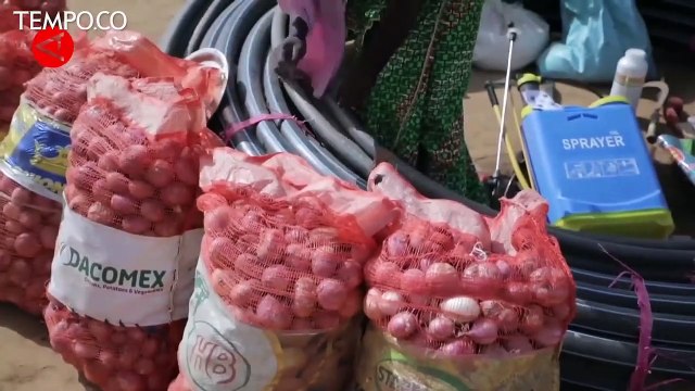 PBB Sebut Tiga Perempat Populasi Dunia Akan Terdampak Kekeringan