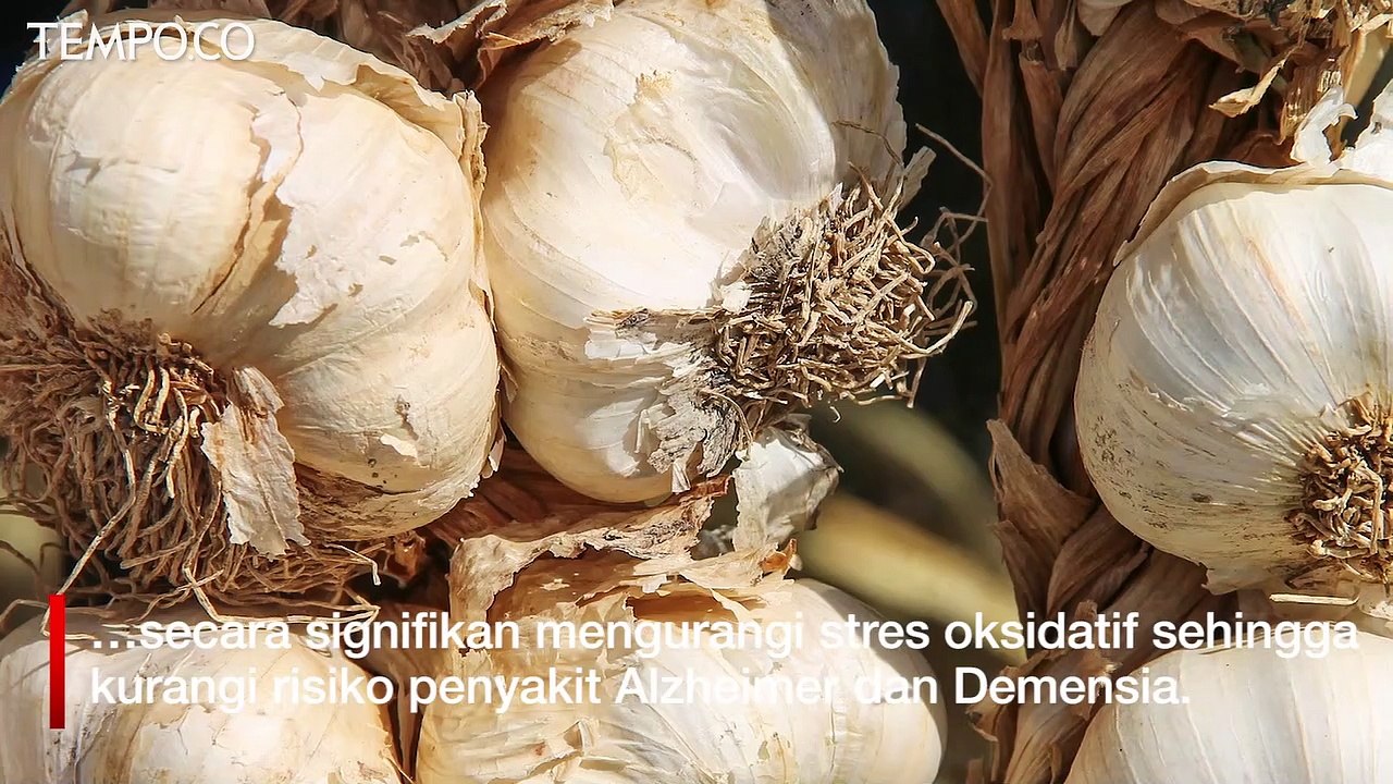 Sejumlah Manfaat Sering Mengonsumsi Bawang Putih