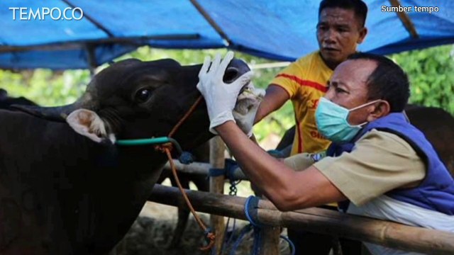 Harga Hewan Kurban di Bandung: Sapi Naik 20 Persen