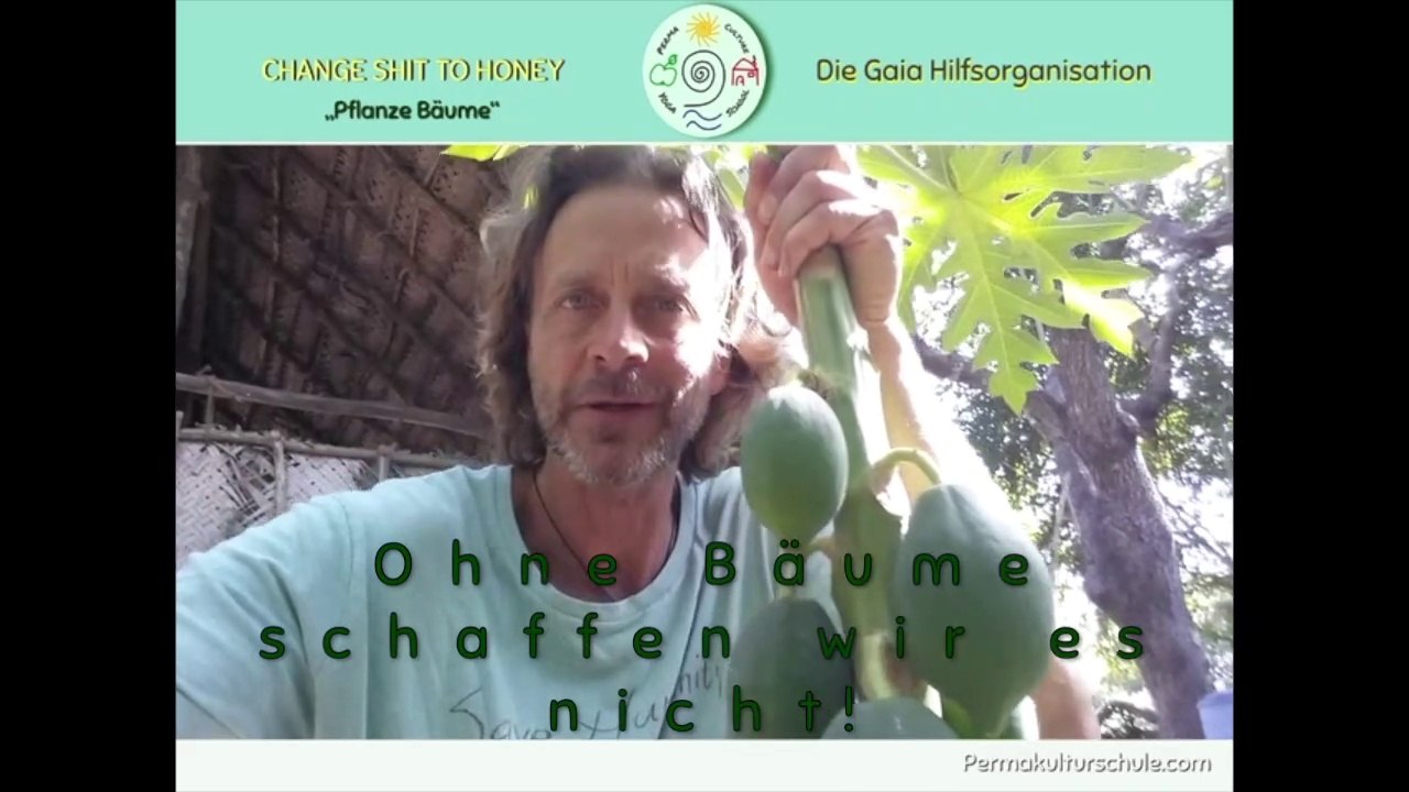 VORTRAG  HUMUSTAGE 2020, 'Ohne Wald schaffen wir es nicht'