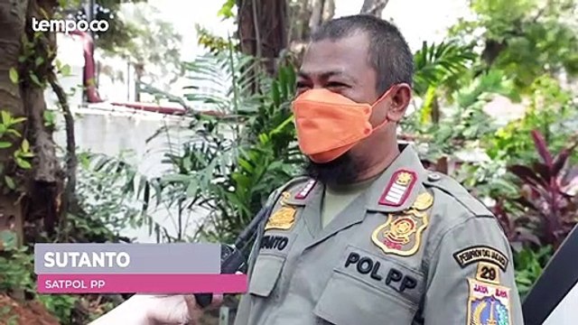 Gaji Satpol PP DKI Lebih Besar Dari Daerah Lain, Wajarkah? | Ada Apa Hari Ini