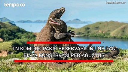 TN Komodo Pakai Reservasi Online dan Biaya Konservasi per Agustus
