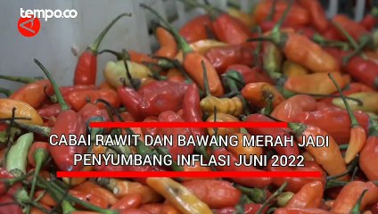Cabai Rawit dan Bawang Merah Jadi Penyumbang Inflasi Juni 2022