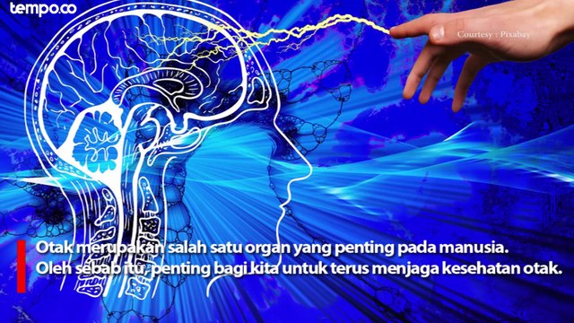 Lima Makanan Ini Baik Untuk Menjaga Kesehatan Otak