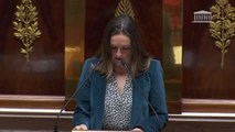 Anne Stambach-Terrenoir, députée LFI: 