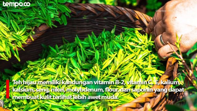 Manfaat Teh Hijau Untuk Kesehatan Kulit