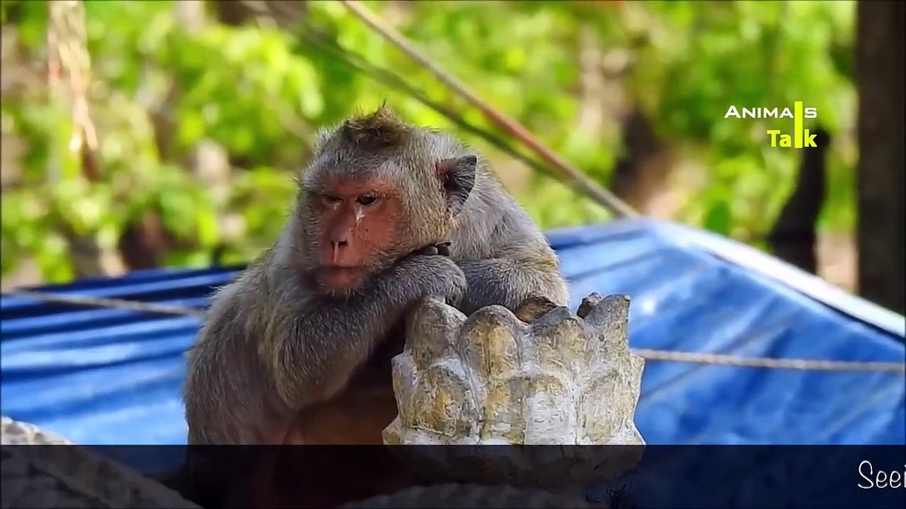 Incredible moment grandson raised up by grandma after mom left ever#7[Review about Orphaned Martin]